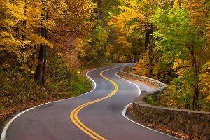 Winding Road